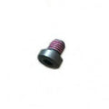AH SCREW DIN7984-M 8X10