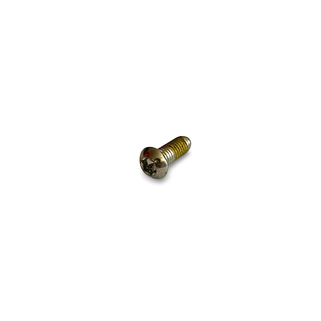 Oval head screw M6x16 Precote